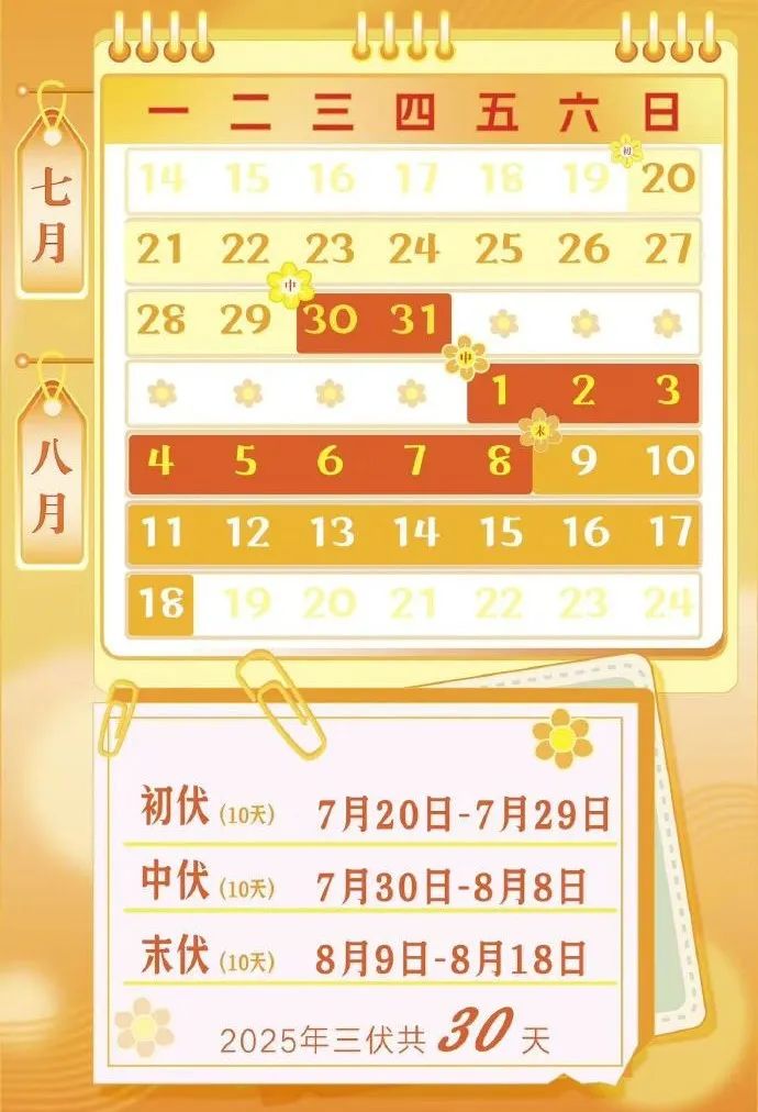 qw5.jpg
