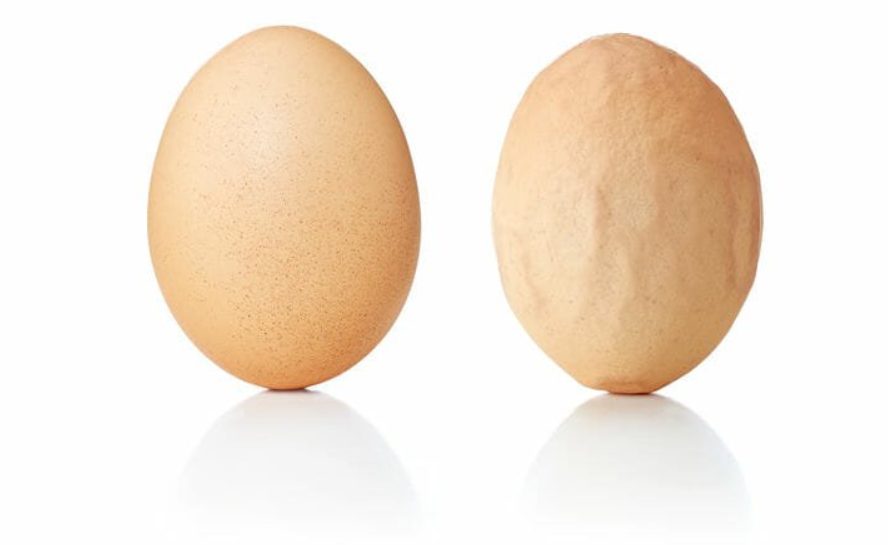 qw2.jpg