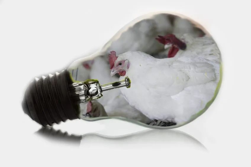 qw3.jpg