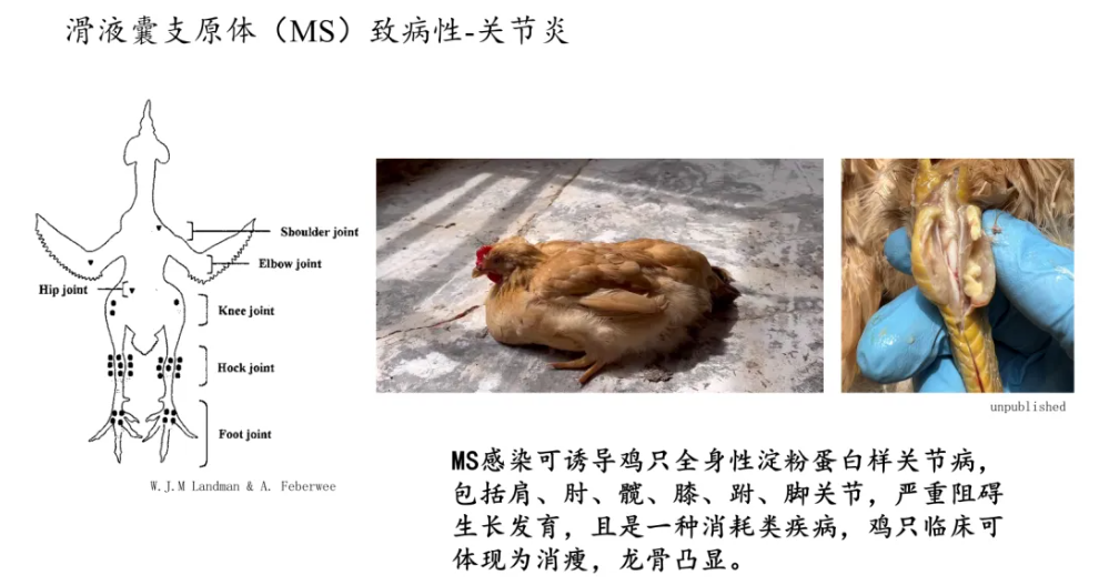 qw4.jpg