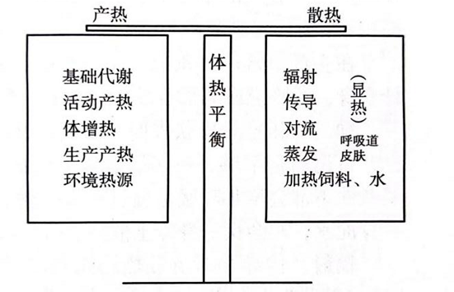 qw1.jpg