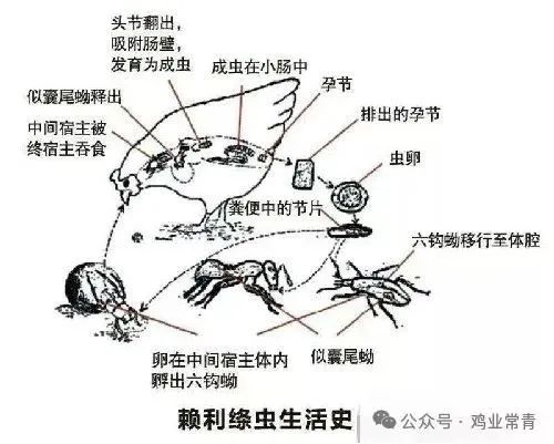 qw1.jpg