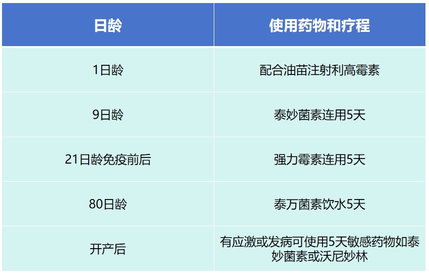 qw6.jpg