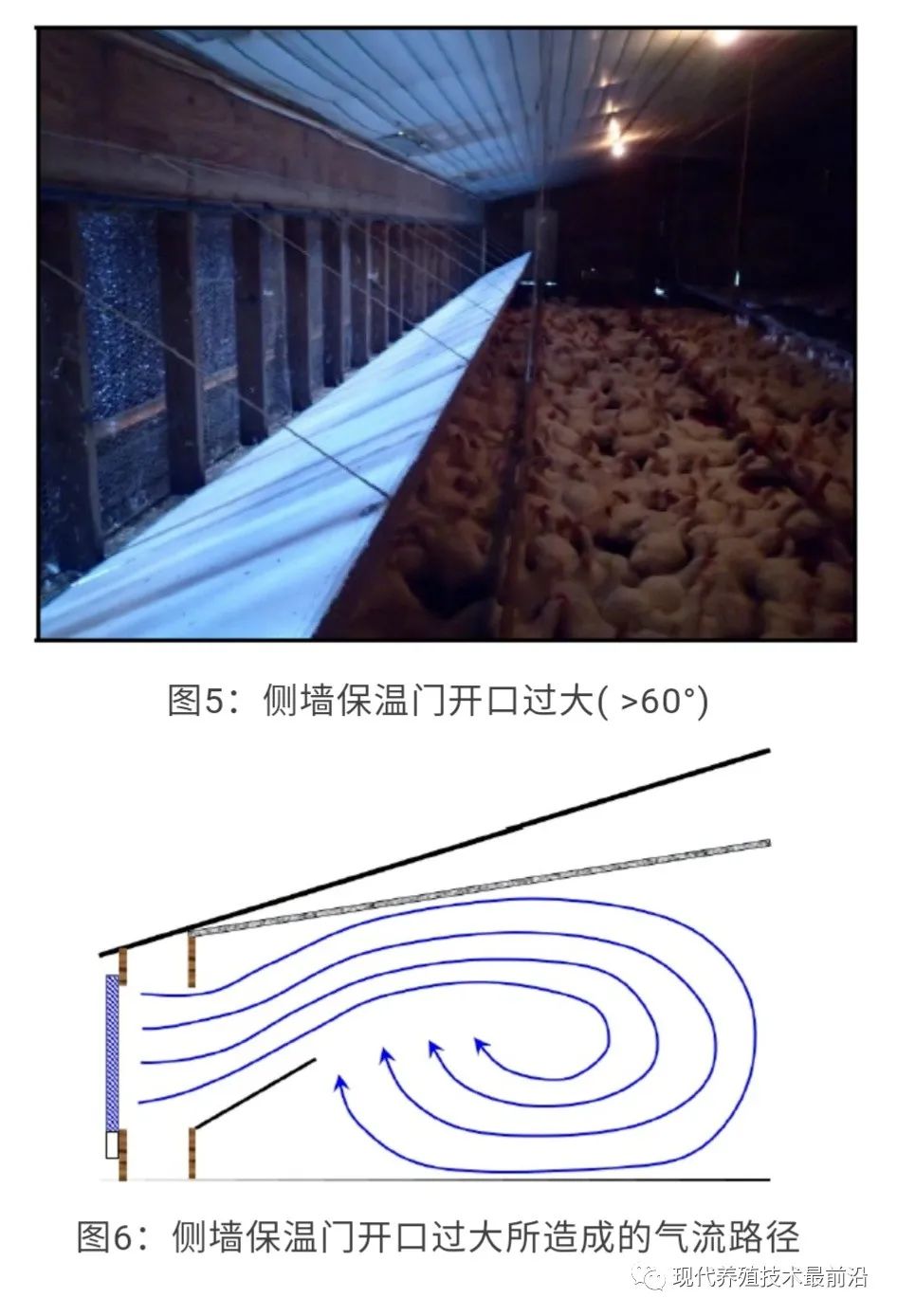 qw5.jpg