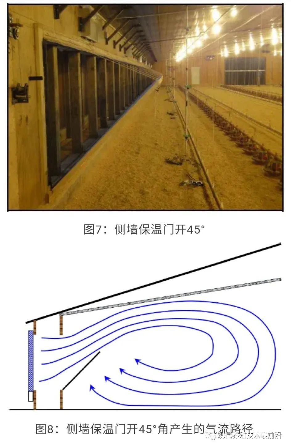 qw6.jpg