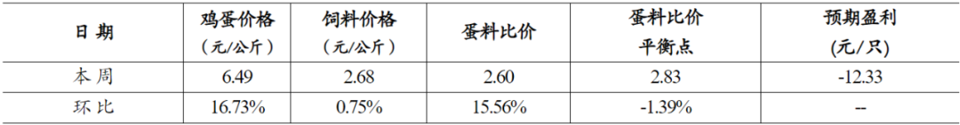 qw5.jpg
