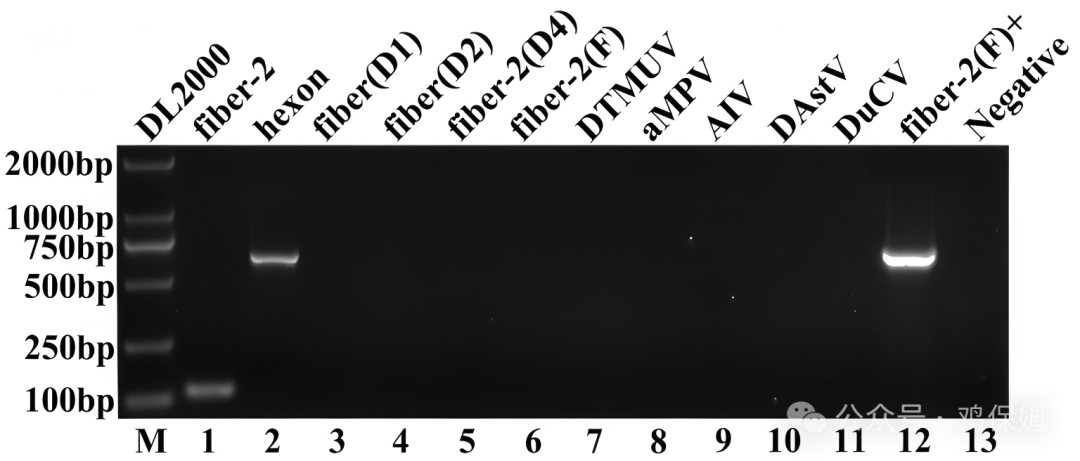 qw1.jpg