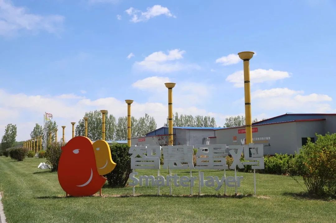 qw3.jpg