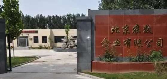 qw9.jpg
