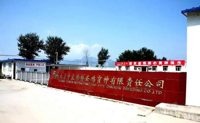 qw7.jpg