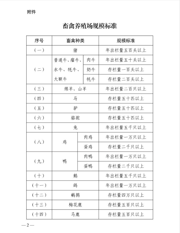 qw5.jpg