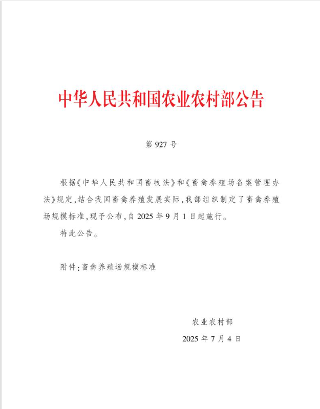 qw4.jpg
