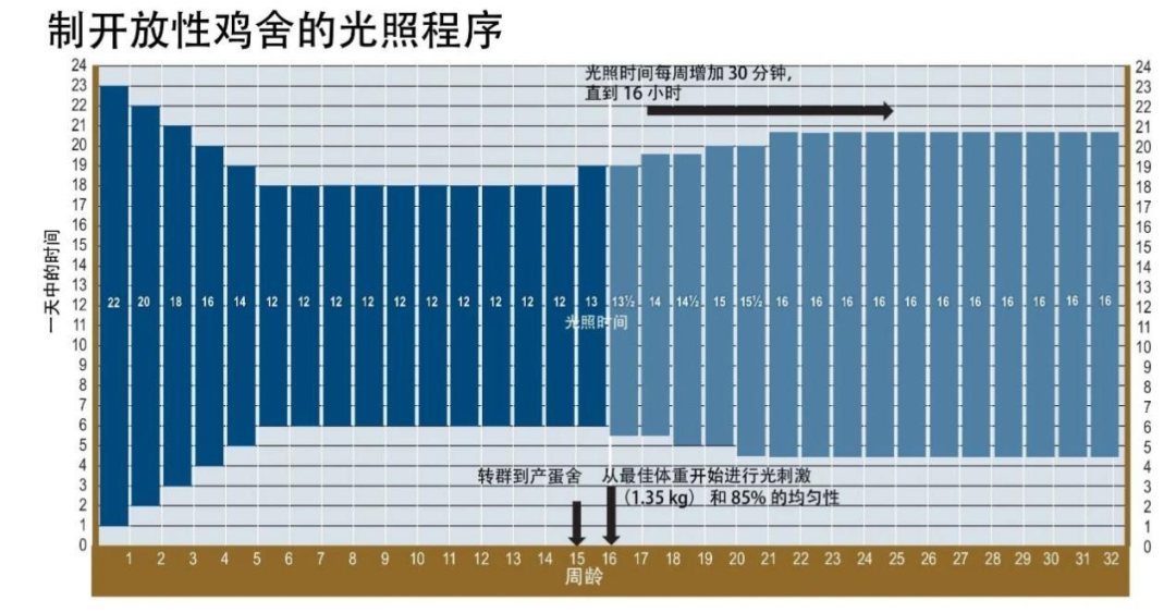 qw7.jpg