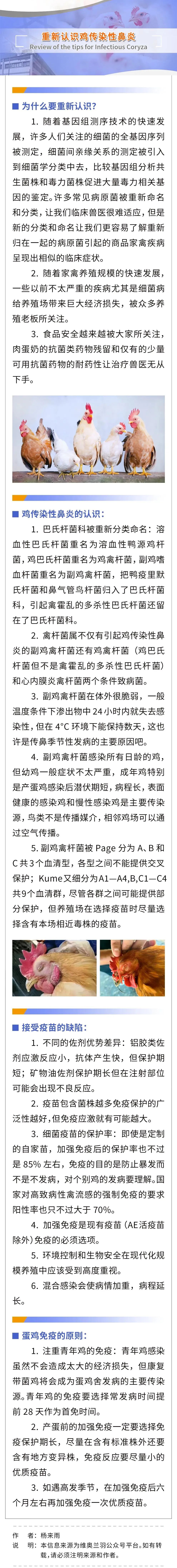 qw1.jpg