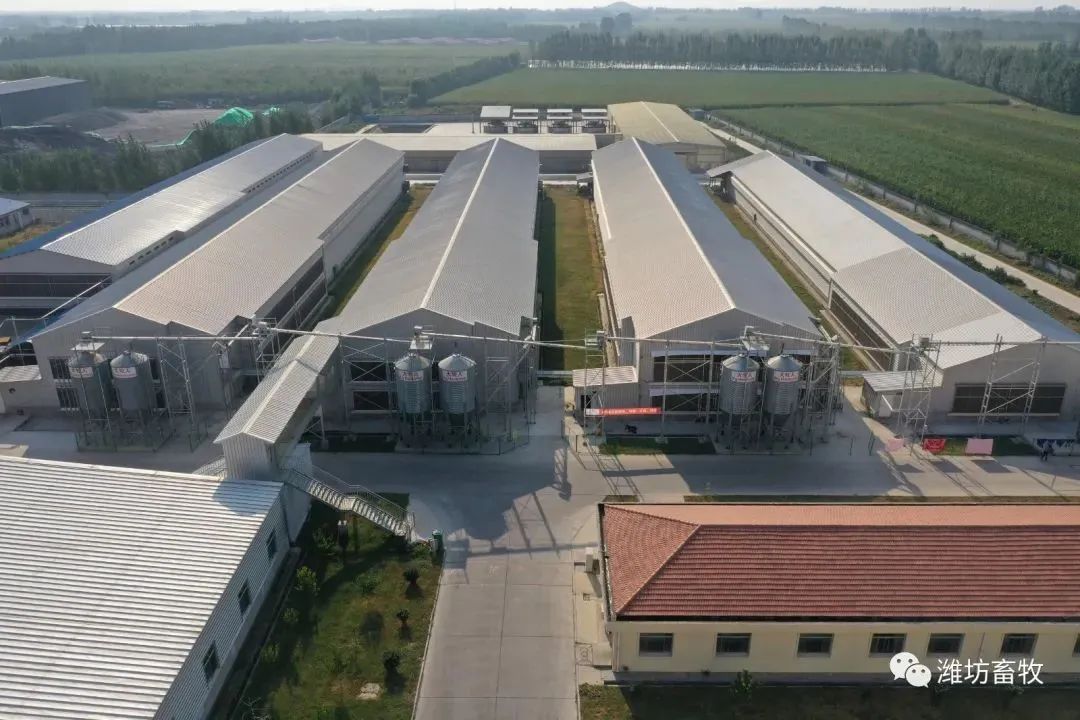 qw5.jpg
