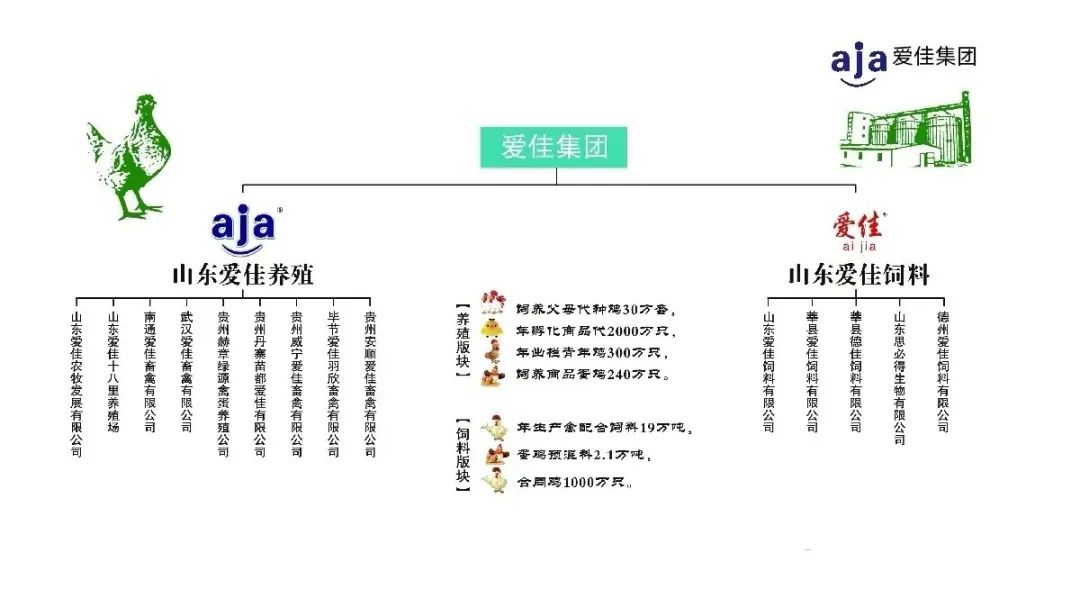 qw10.jpg