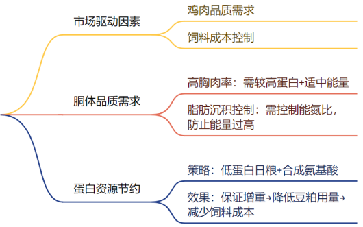 qw6.jpg