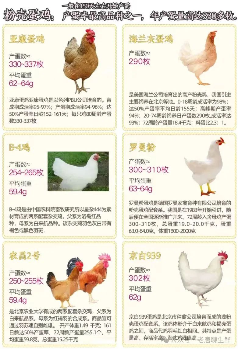 qw6.jpg