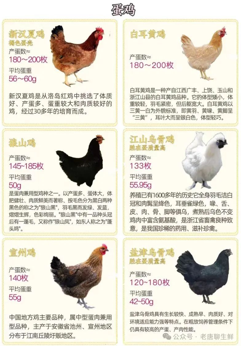 qw4.jpg
