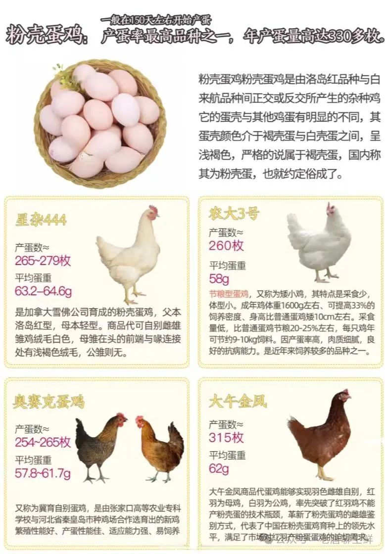 qw5.jpg