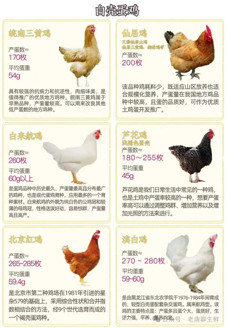 qw8.jpg