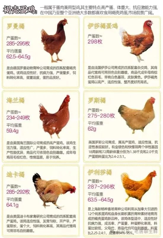 qw7.jpg