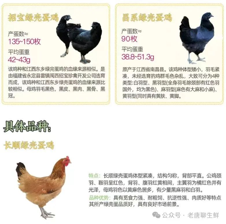 qw10.jpg