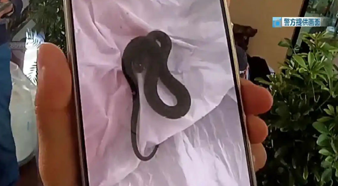 12.png