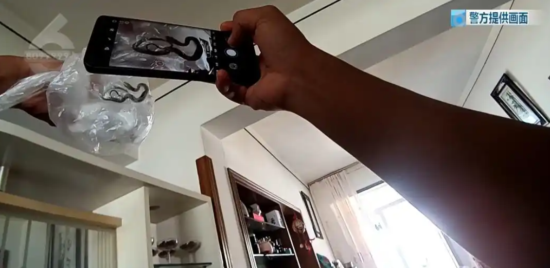 14.png