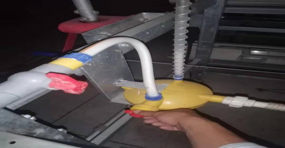 qw10.jpg