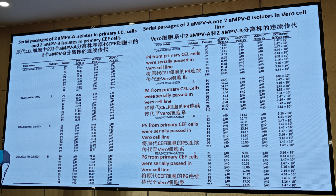 qw19.jpg