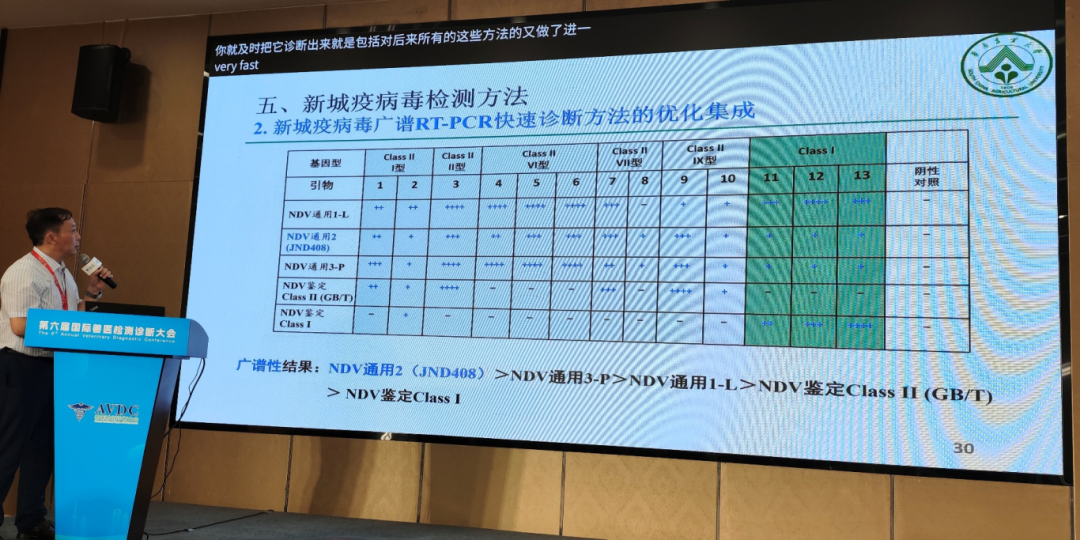 qw26.jpg