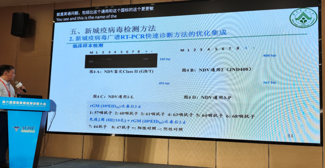 qw27.jpg