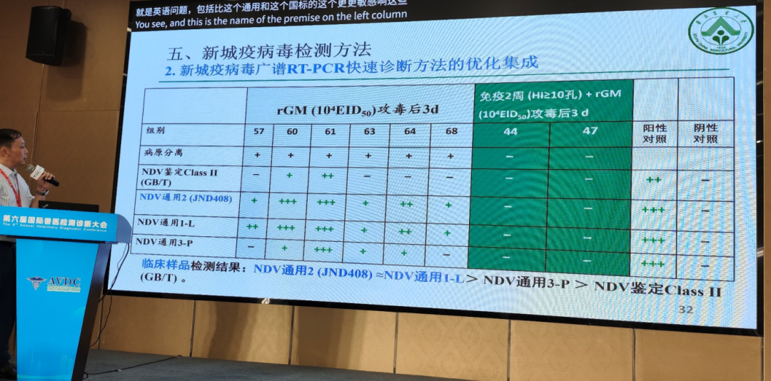 qw28.jpg