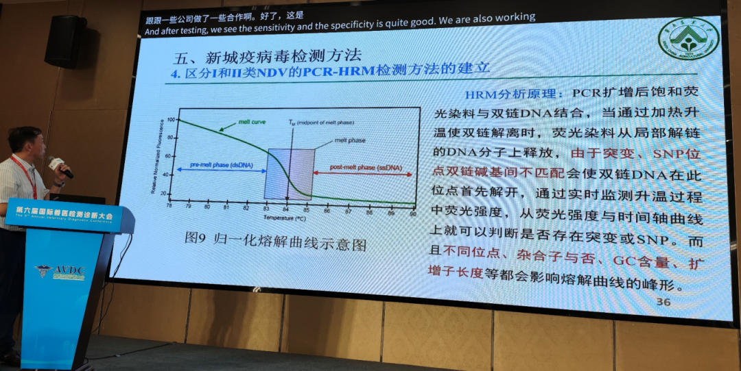 qw31.jpg