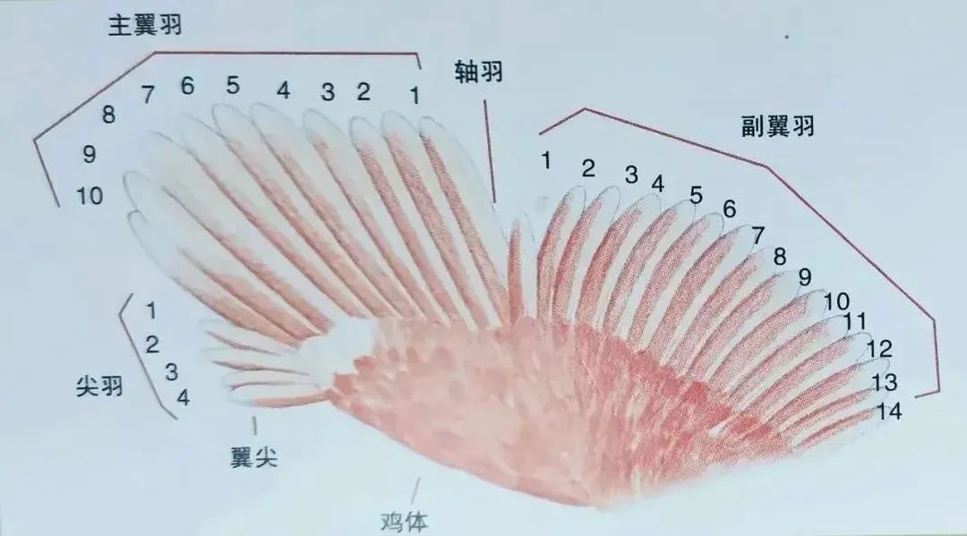 qw6.jpg