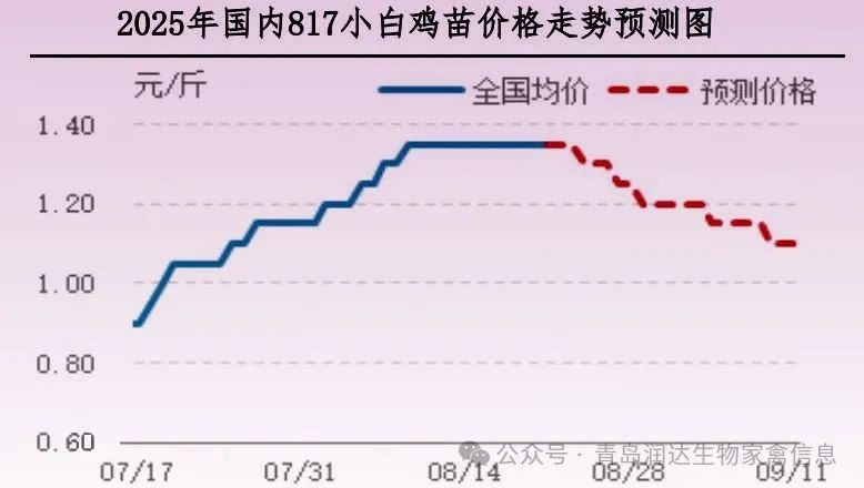 qw5.jpg