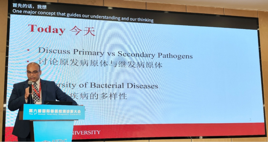 qw3.jpg