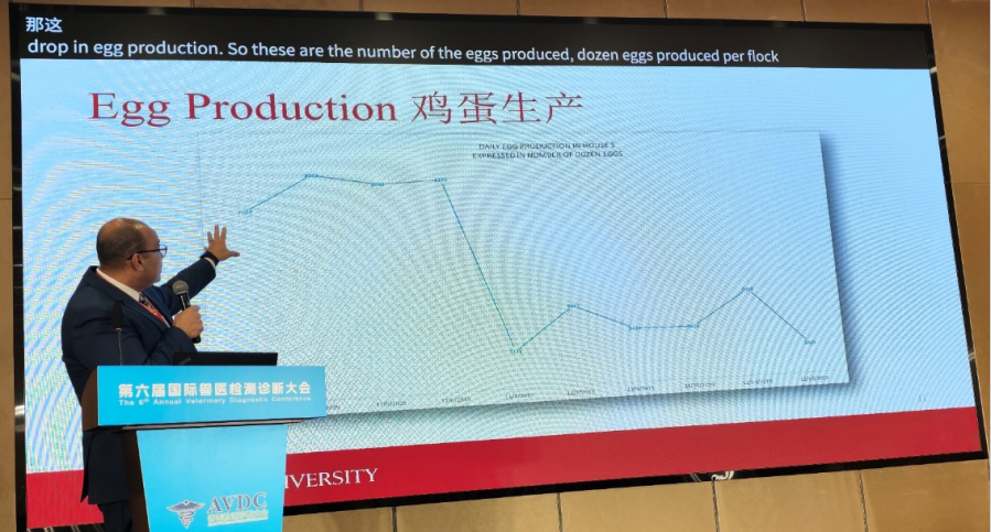 qw12.jpg