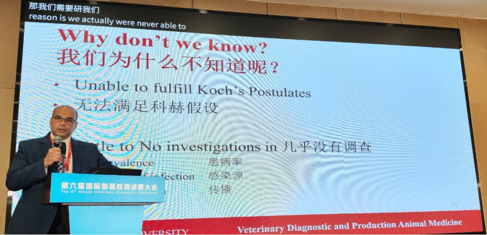 qw22.jpg