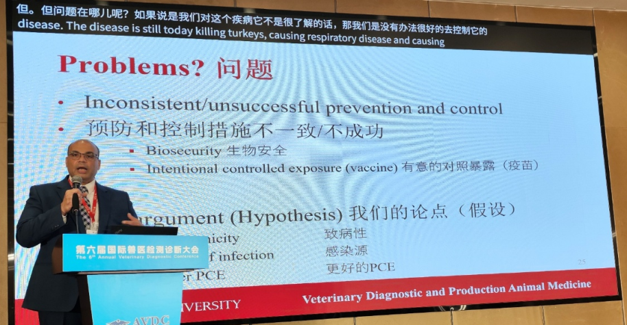 qw23.jpg