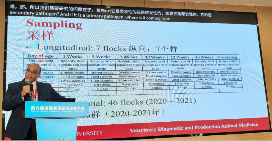 qw24.jpg