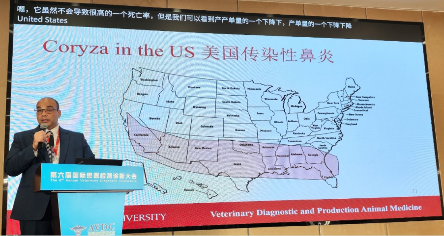 qw28.jpg