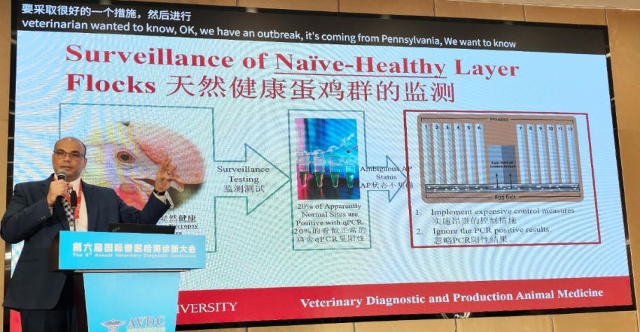 qw30.jpg