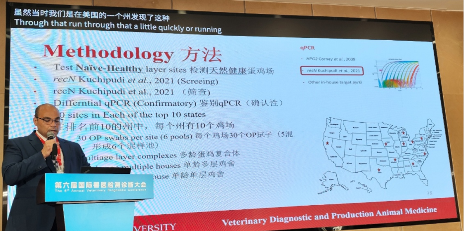 qw33.jpg