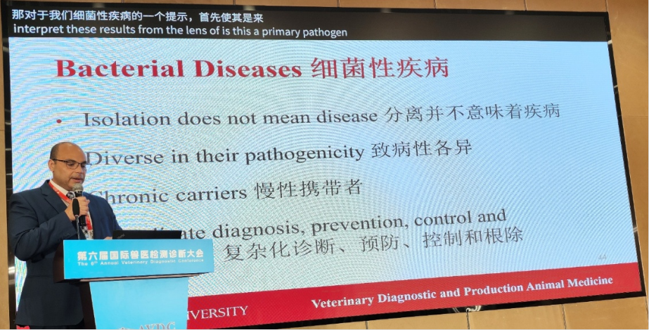 qw38.jpg