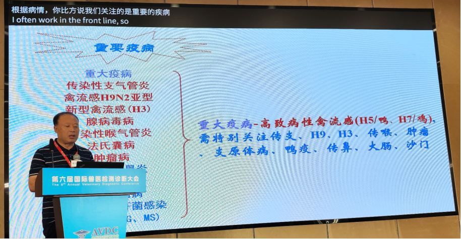 qw6.jpg