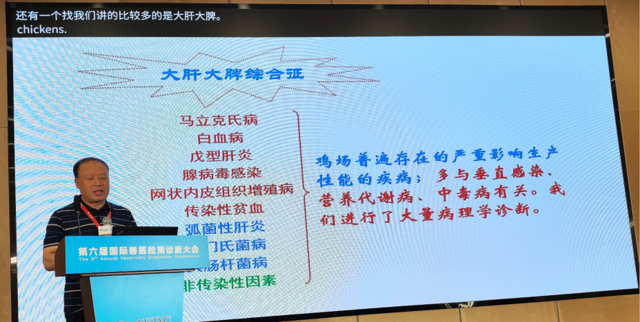 qw9.jpg