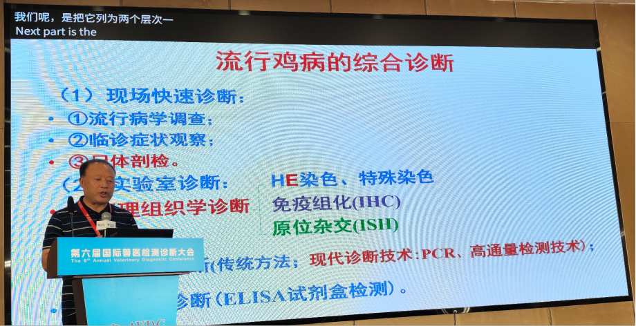 qw29.jpg