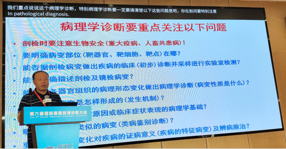 qw30.jpg